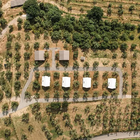 Luxe tent Glamping Poggio Nardini