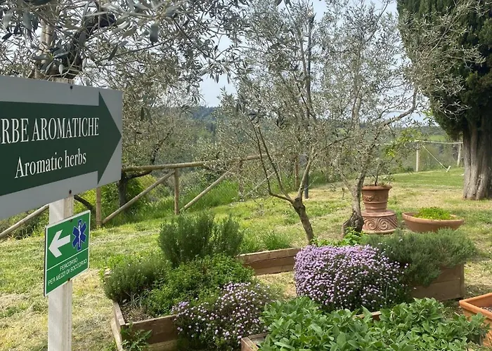 Glamping Poggio Nardini